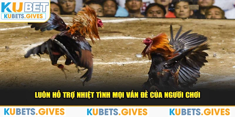 Luôn hỗ trợ nhiệt tình mọi vấn đề của người chơi