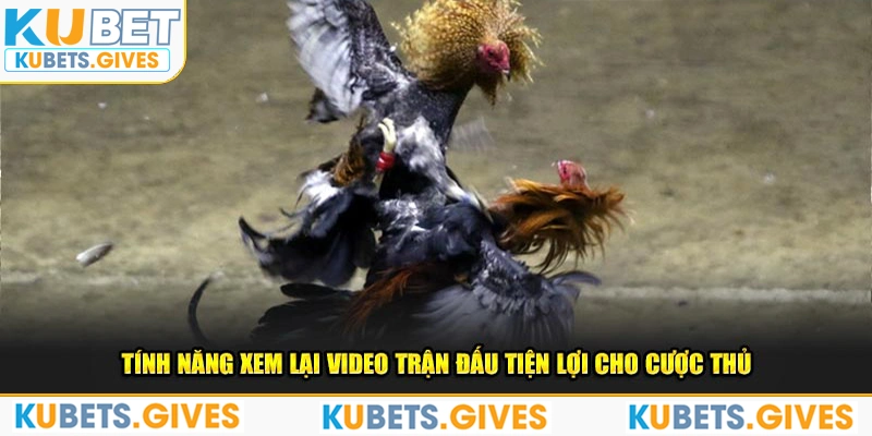 Tính năng xem lại video trận đấu tiện lợi cho cược thủ